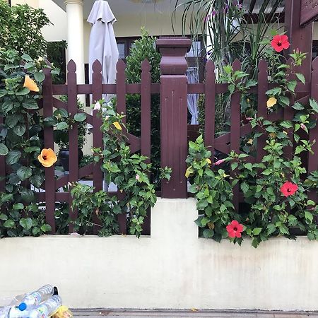 Qua Cam Tim Homestay Χόι Αν Εξωτερικό φωτογραφία
